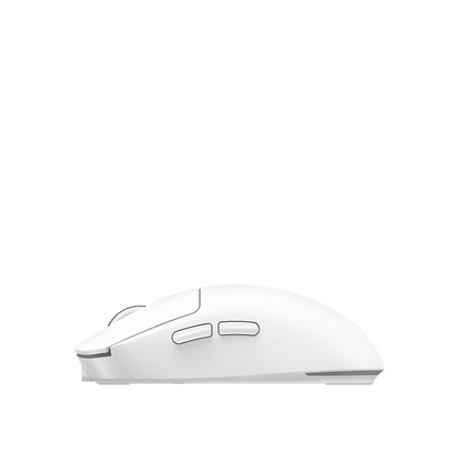 2.4G Wireless Mouse, MS9933 1.0